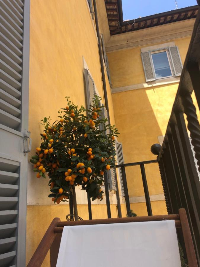 New! Bellissimo Palazzofranchi Pantheon *