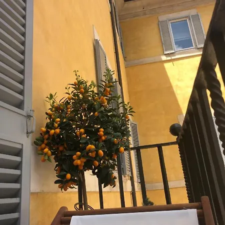 New! Bellissimo Palazzofranchi Pantheon Apartment Rome Exterior photo